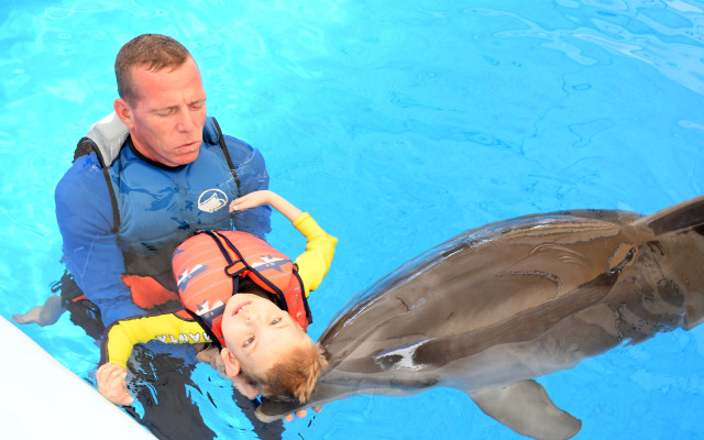 Delfíní pomoc pro nemocného Davídka