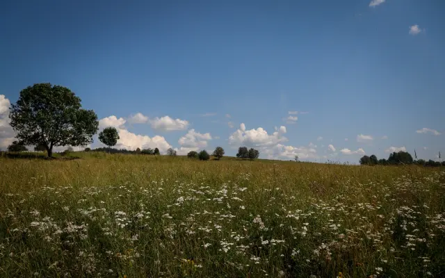 Pomozte vybudovat místo plné života