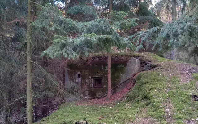 Podpořte vydání knihy "Život plný kontrastů" od Jany Brčkové