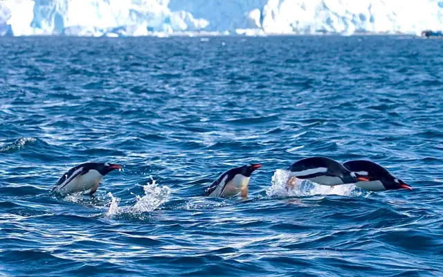 Pomozte nám natočit motivační dokument: V sevření ledové vody II