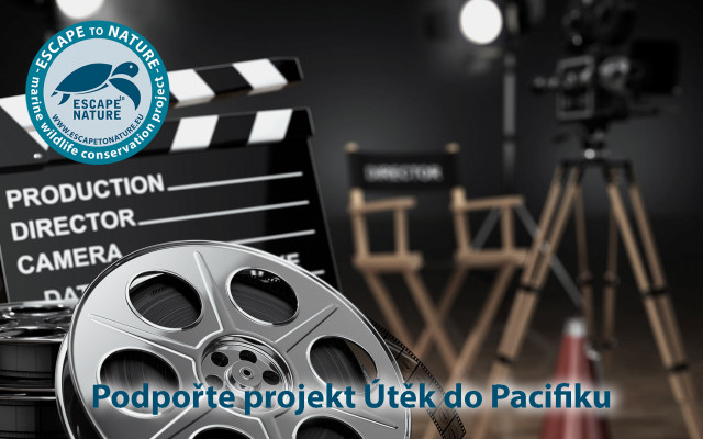 Nafocení portrétu v ateliéru