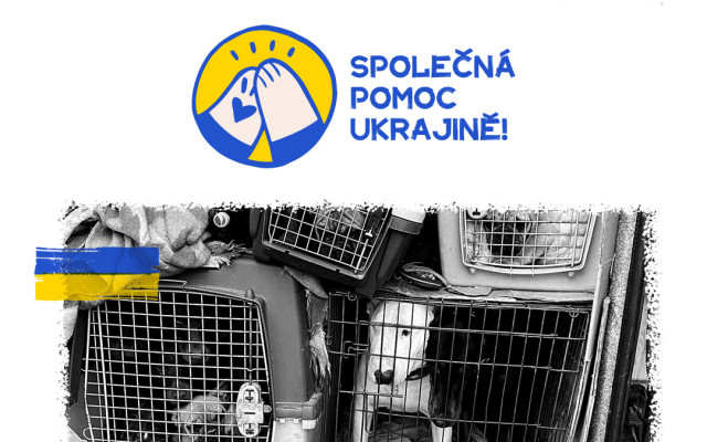 Pomoc psům a kočkám na Ukrajině