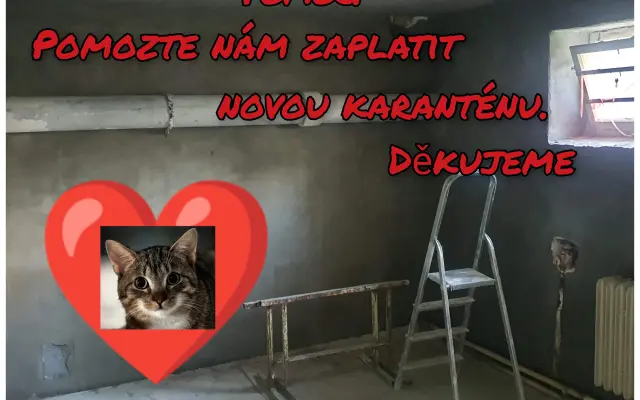 Nová karanténa pro kočičky ze Dvora Králové