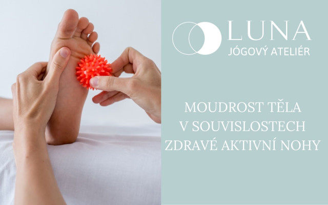 Kurz Moudrost těla v souvislostech, vol. 1, Zdravé aktivní nohy