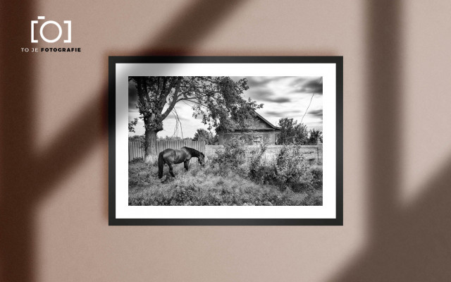 To je fotografie: Jan Dobrovský