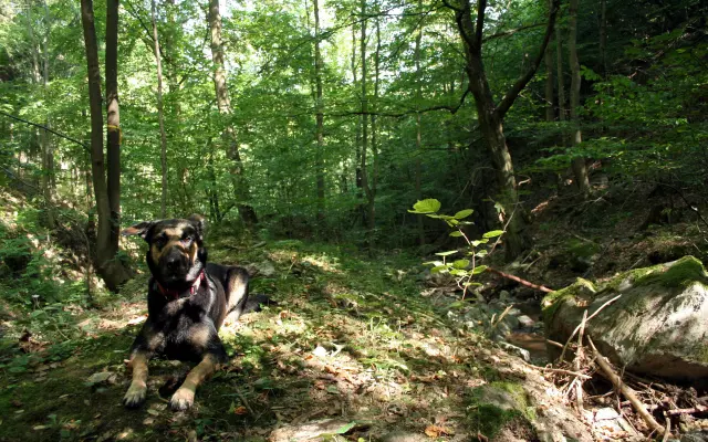 Operace, léčba a kvalitní život Rózinky