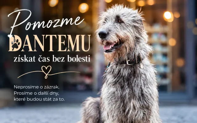 Pomozme Dantemu získat čas bez bolesti 💙