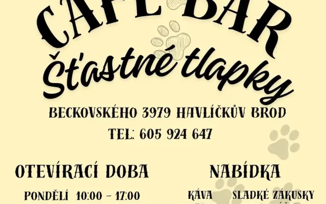 Pojďme dát kočičkám druhou šanci, obnovme kočičí kavárnu café & bar Šťastné tlapky