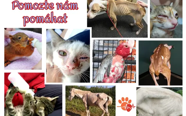 Bezpečné auto pro záchranu zvířat v nouzi
