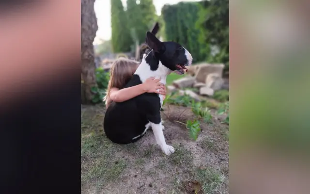 Zázraky se dějí! Pomozme našemu psímu klukovi zdolat nádor