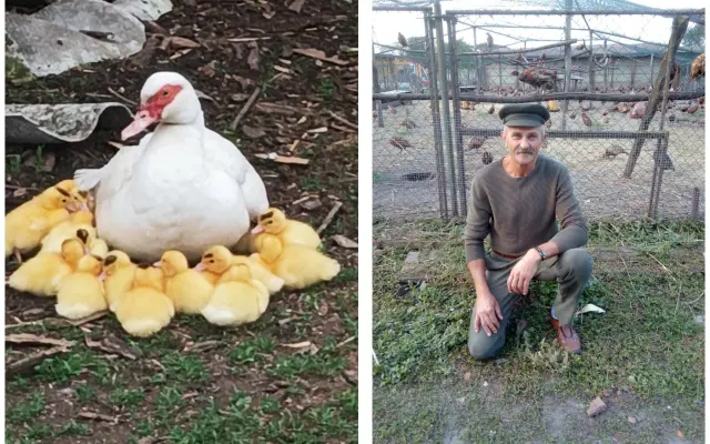 Pomozme společně obnovit zničenou farmu a živobytí farmáře Vládi!
