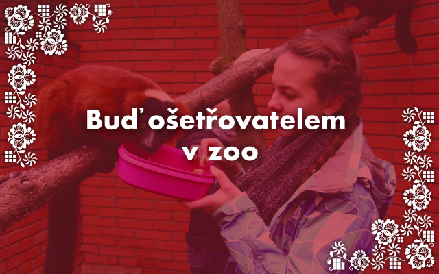 Buď ošetřovatelem v zoo