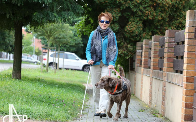 Za záchranu vodícího psa Xanta jste se setkali s Jakubem Kohákem - Pro Renatu je Xanto nejlepším přítelem, ale i očima