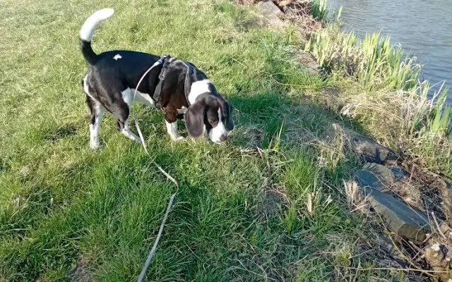 Tim chce zase běhat, zažil už dost bolesti v srdci
