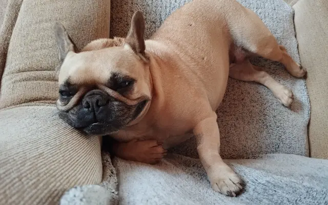 ❤️ Pomoc pro Pú - porazit nádorové onemocnění