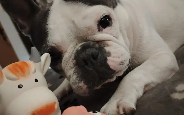 Zachráňte Marilyn bojující s rakovinou