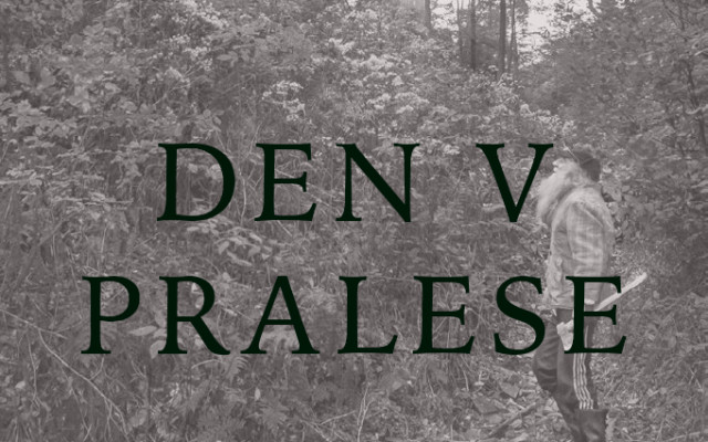 Den v pralese