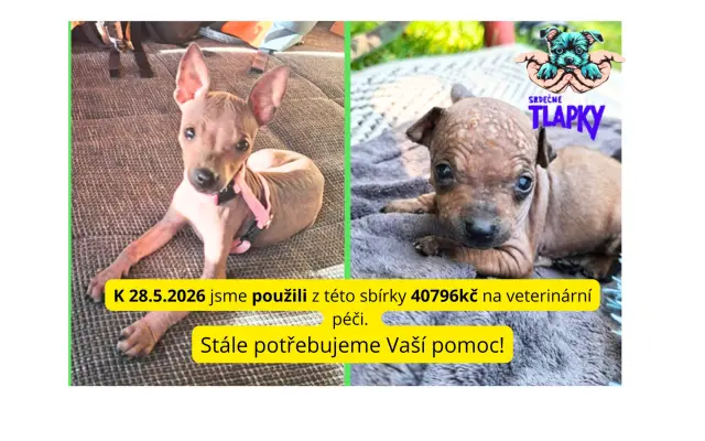 Pomozme pejskům, kteří by jinak šanci na lepší život neměli