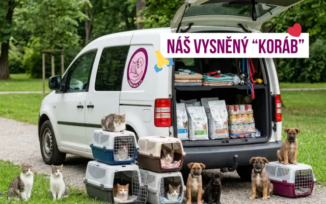 Pomozte nám pořídit útulkové auto pro převozy zvířátek v nouzi