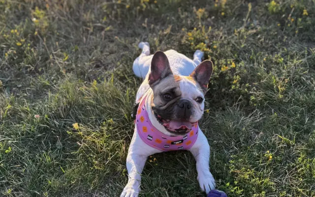 Pomozte nám zvládnout nečekanou operaci❤️‍🩹