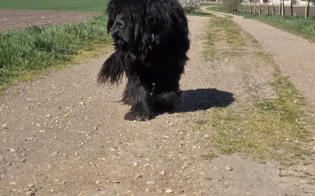 Pomozte Arissce v boji s rakovinou