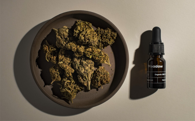 CBD Oil 10% + Tropical Pack