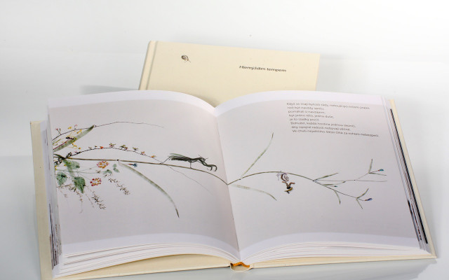 Podpořme knihu pro malé i velké: O čem sní mravenec