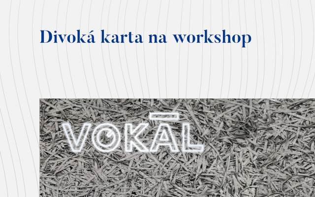 Divoká karta na workshop