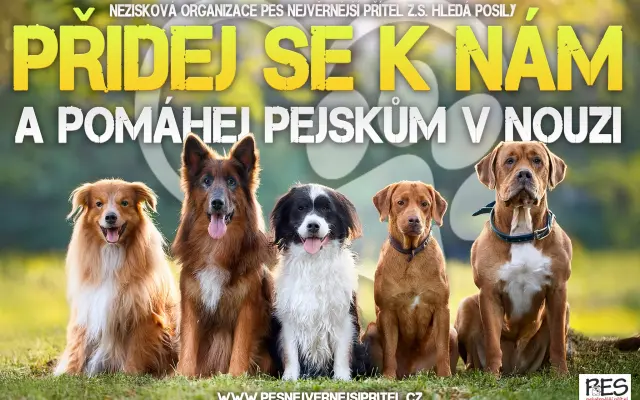 🚨 Potřebujeme vaši pomoc více než kdykoliv dříve! 🚨