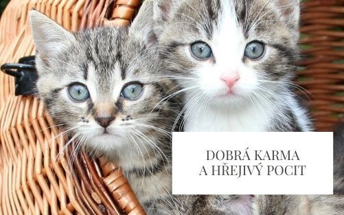 Hřejivý pocit a dobrá karma
