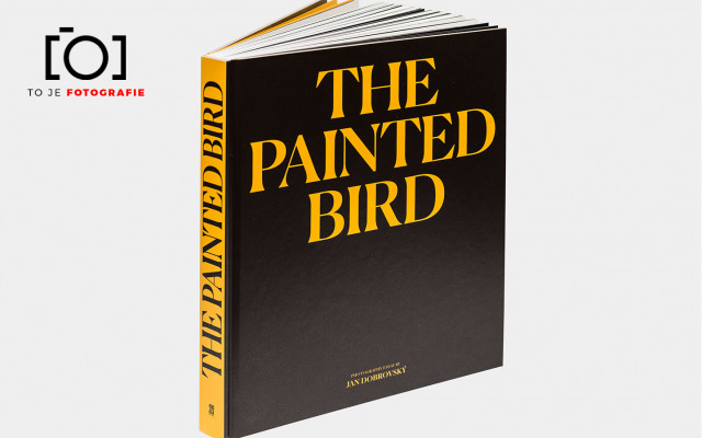To je foto publikace: The Painted Bird