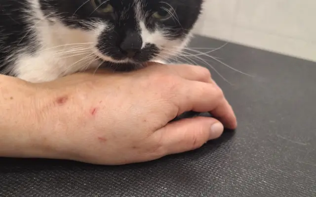 9 nalezených Lásek