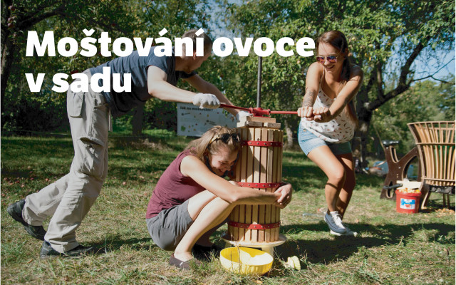 Moštování jablek na Šlapostroji ve vybraném ovocném sadu pro 10 účastníků