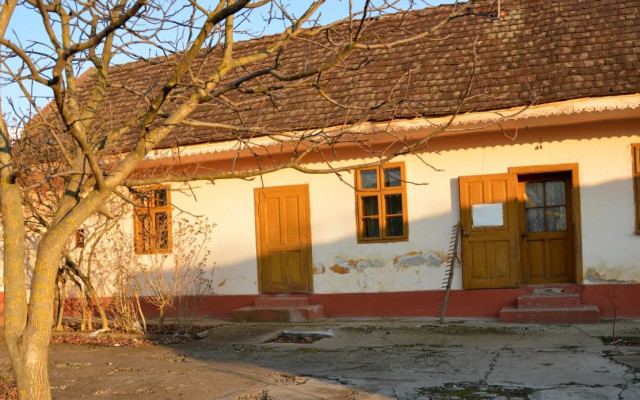 Střecha pro český etnodům v srbské vesnici Kruščica