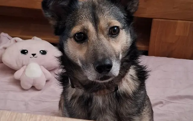 Druhá šance pro Dirka z osady na lepší život