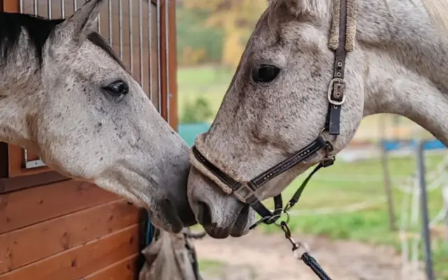 Dobročinná sbírka pro Ostrov Naděje