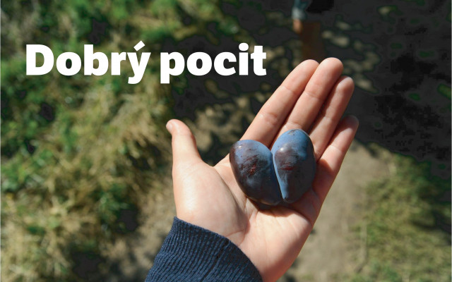 Dobrý pocit