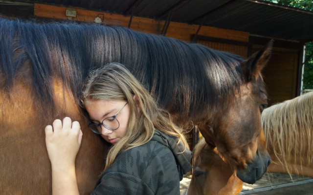Pomohli jste nám nakrmit koně, kteří pomáhají dětem. Děkujeme!