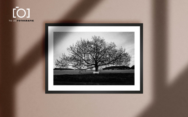 To je fotografie: Jan Mihaliček