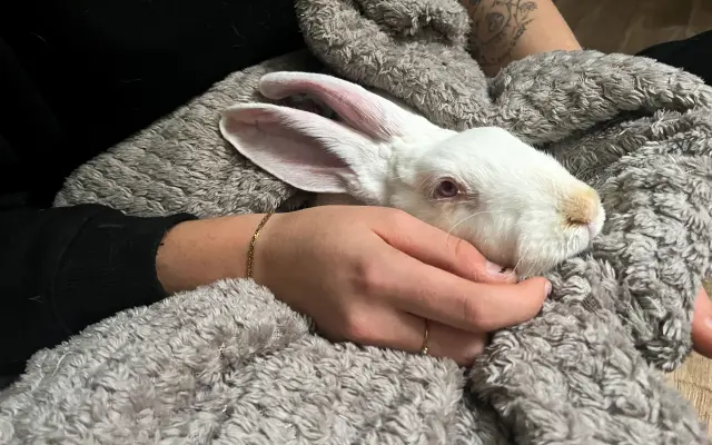 Pomůžete Arymu zachránit život?