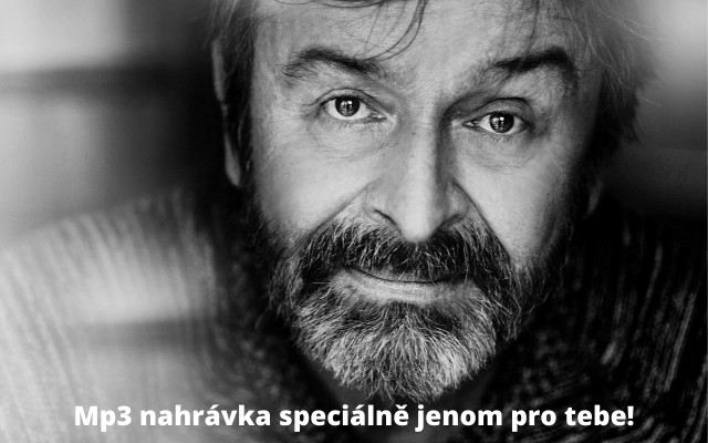 Osobní nahrávka od herce Alexeje Pyška (hlas Bruce Willise)