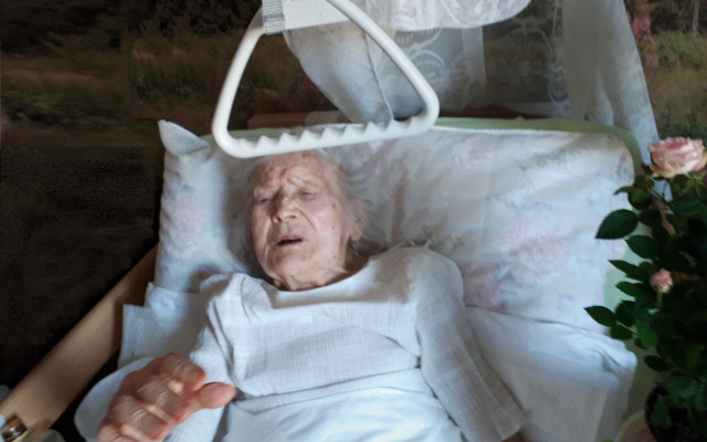 Pomoc nemocné 91leté babičce a čtyřem rodinám jejích potomků, jimž tornádo devastovalo několik domů