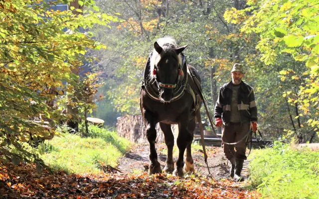 Furmani a horalé z Beskyd