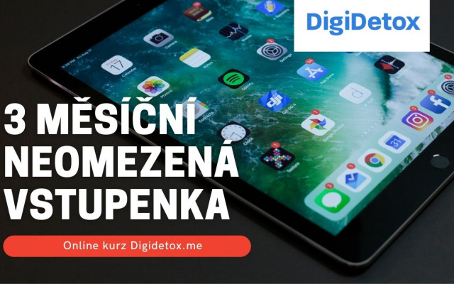 3 měsíční přístup k online kurzu (50% předprodejní cena)