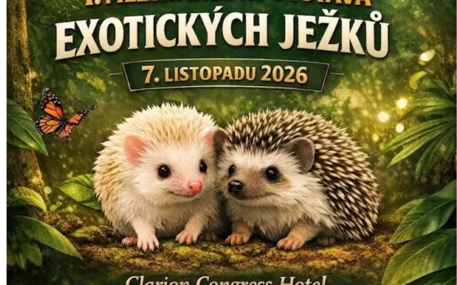 Pomozte nám uspořádat 1. Mezinárodní výstavu exotických ježků v Ústí nad Labem!