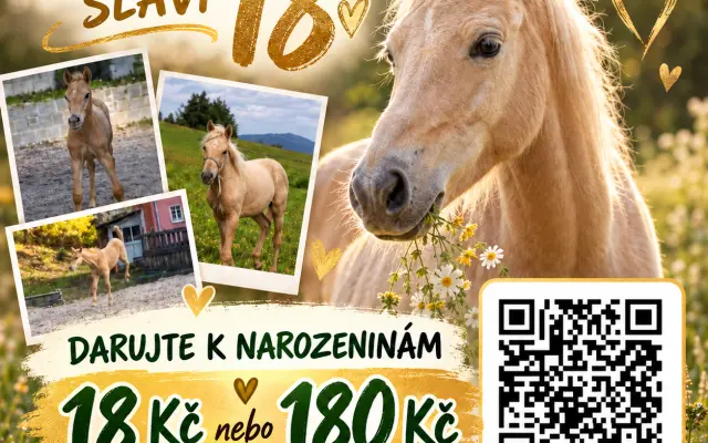Druhá šance pro stará a nemocná zvířata