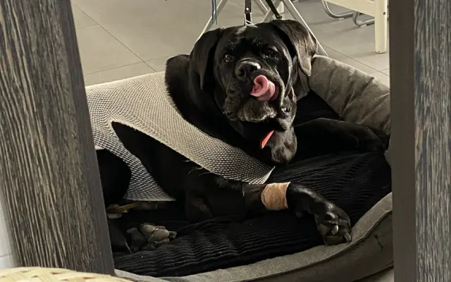 Pomoc pro Fiu v boji s rakovinou