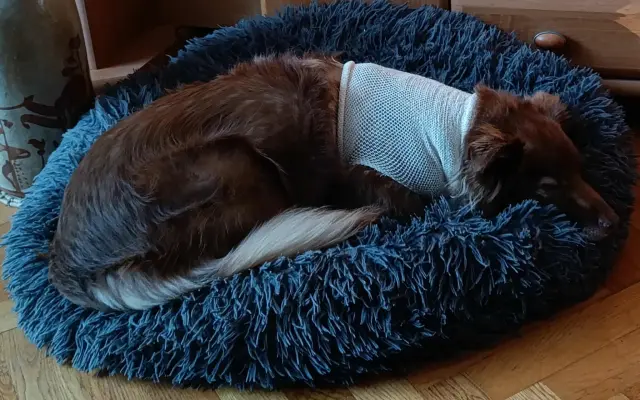 Rozinka pomáhá dětem, nyní potřebuje pomoc ona