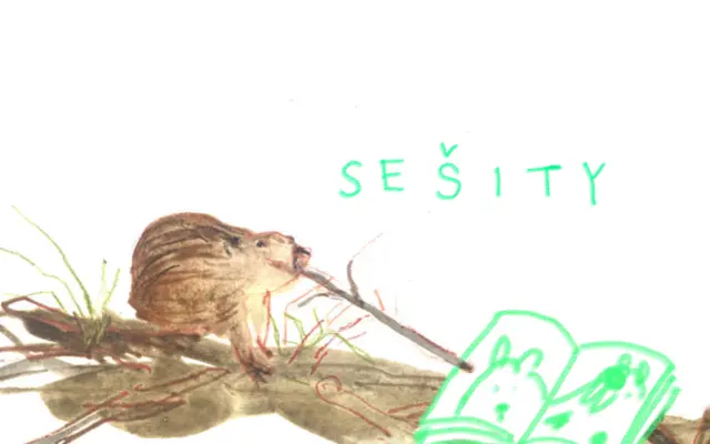 Ručně šité sešity (vyzvedni)