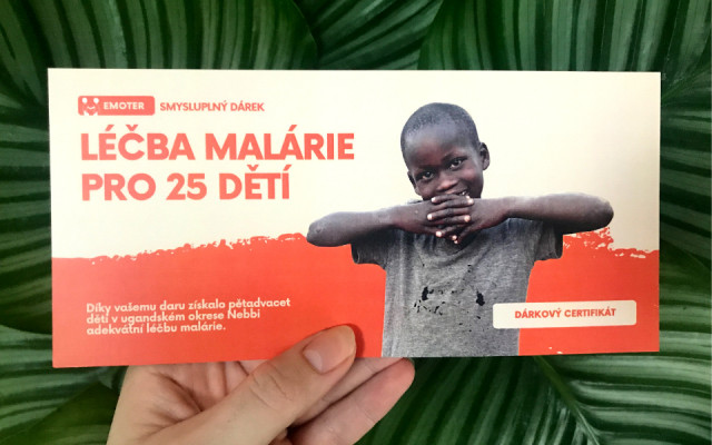 Léčba malárie pro 25 dětí